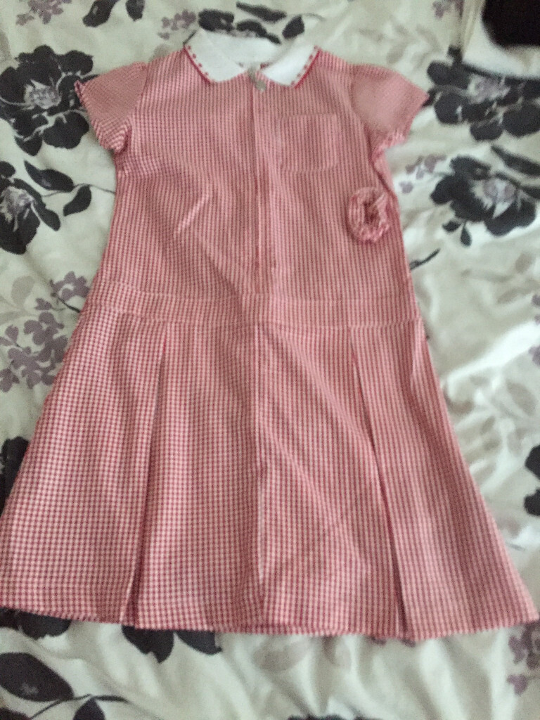 tesco gingham school dress